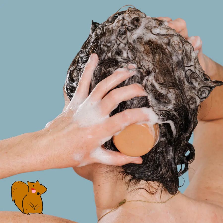 Vorschaubild 2