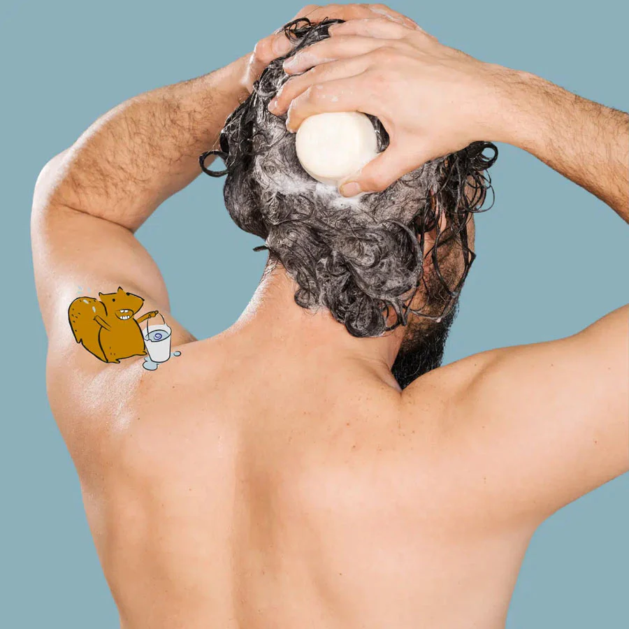 Vorschaubild 2